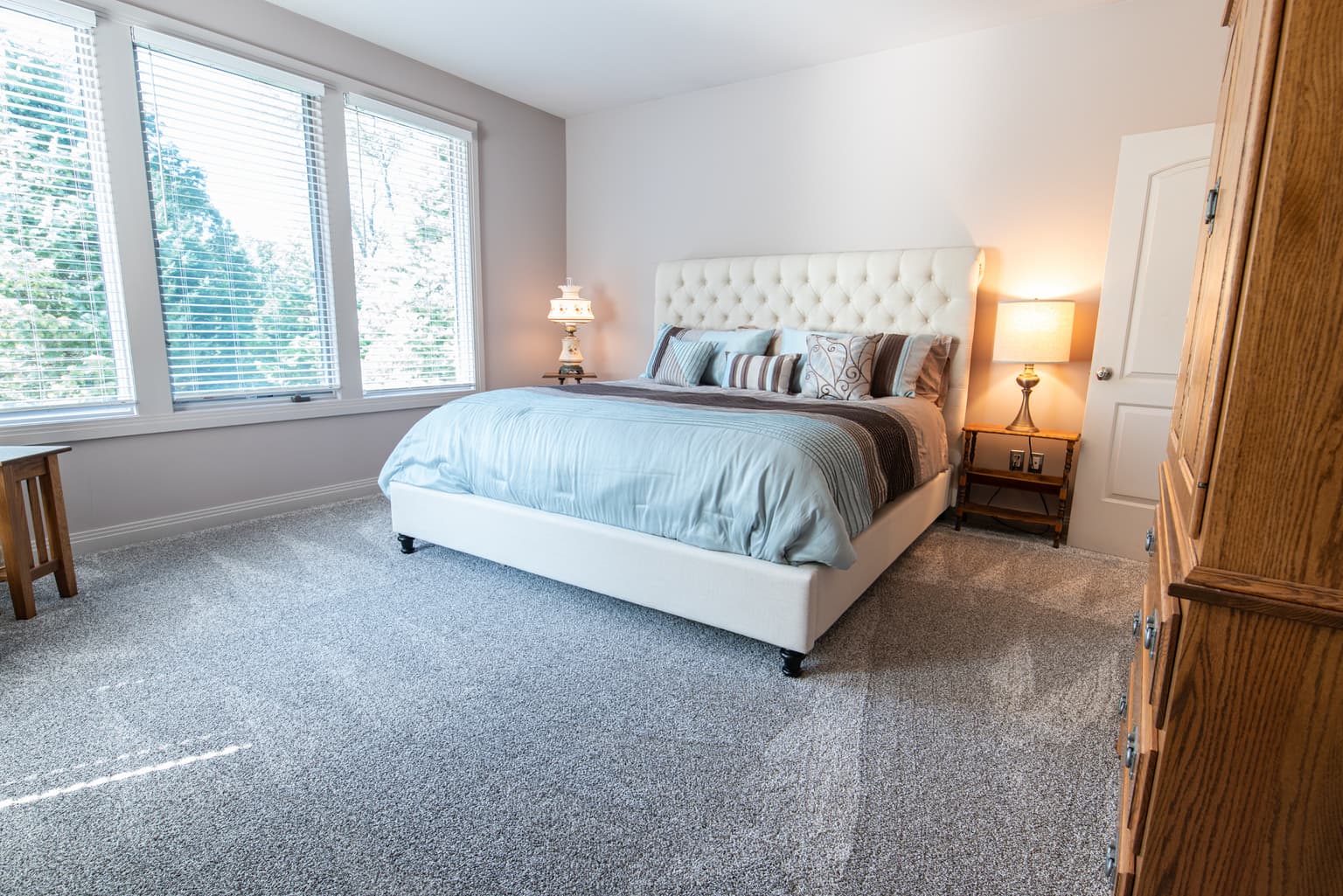 Carpet cleaning in Martinez, GA