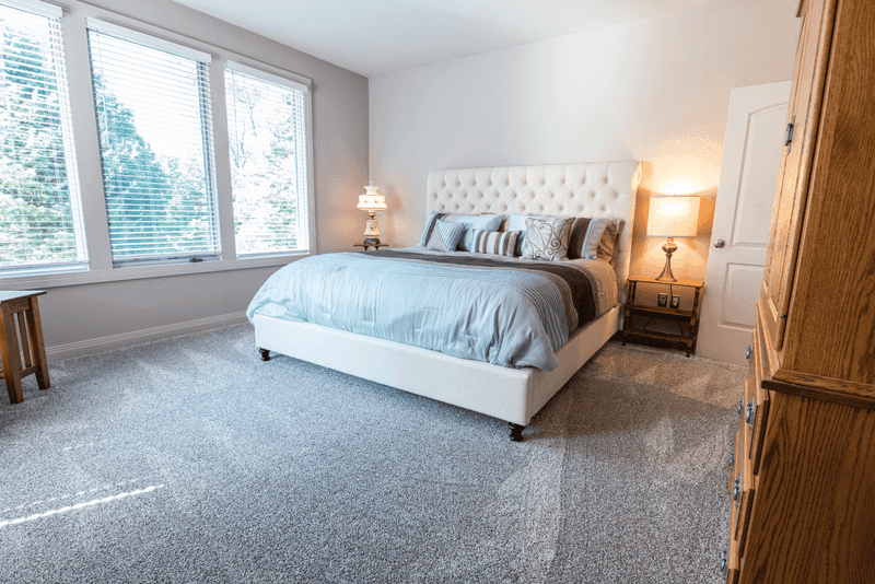 Carpet cleaning in Martinez, GA