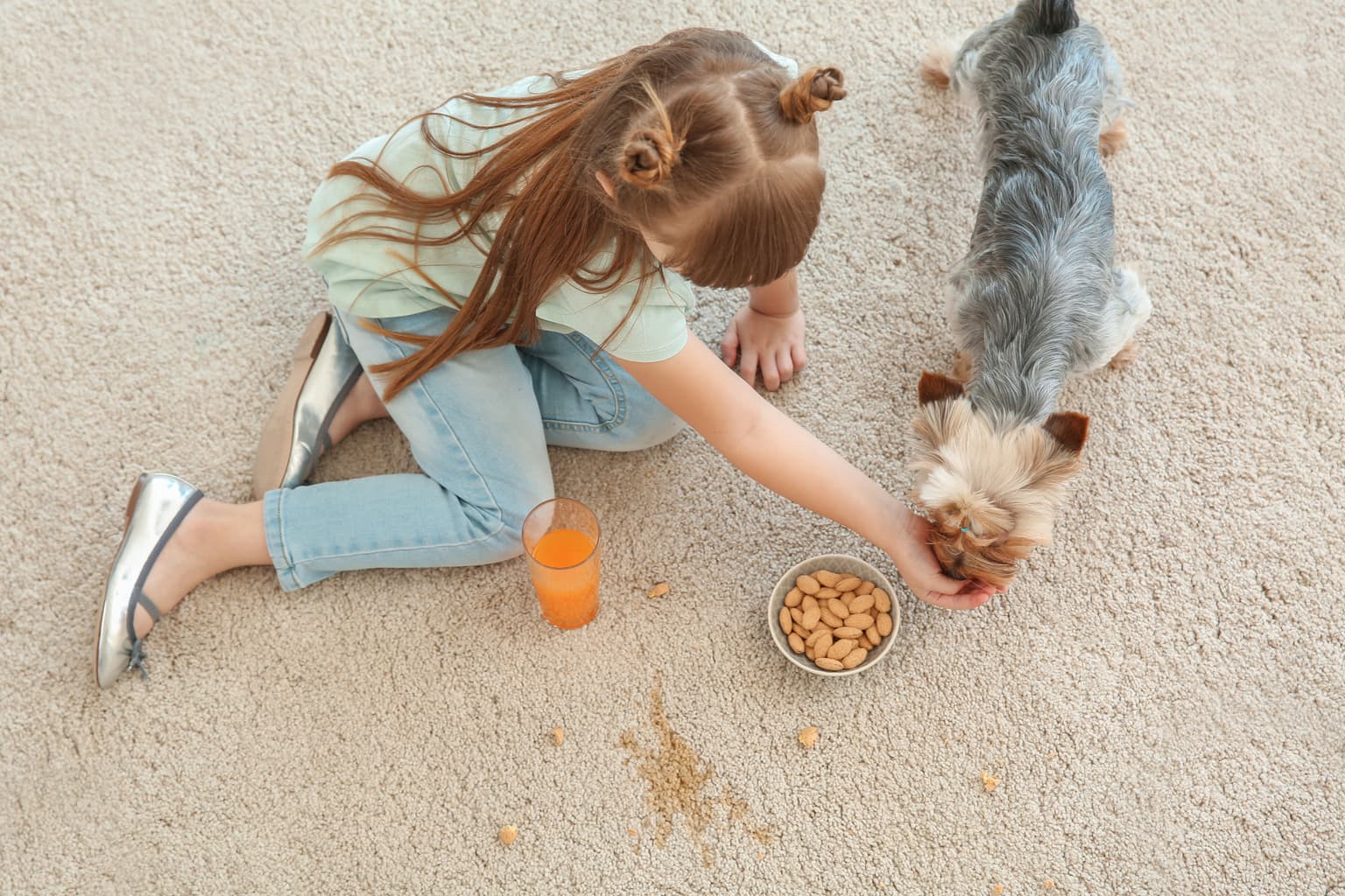 Carpet cleaning in North Augusta, SC