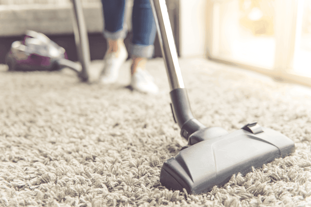 Georgia Summer Humidity and Your Carpet: What's Actually Happening Down There