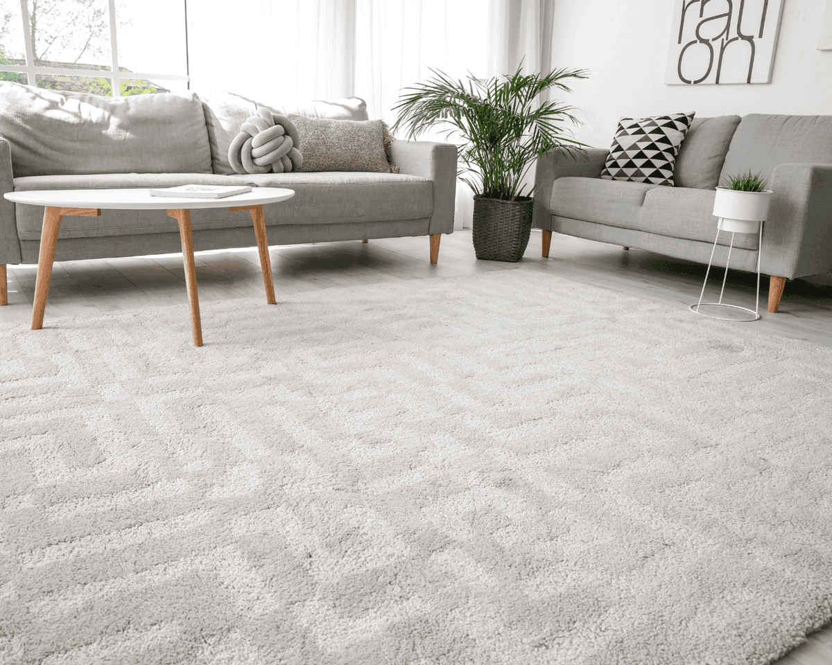 Area Rug Cleaning in Martinez GA
