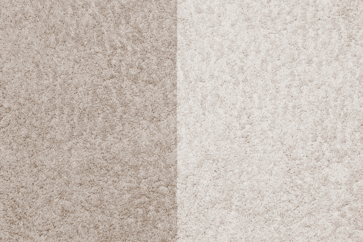 Carpet Cleaning in Martinez GA